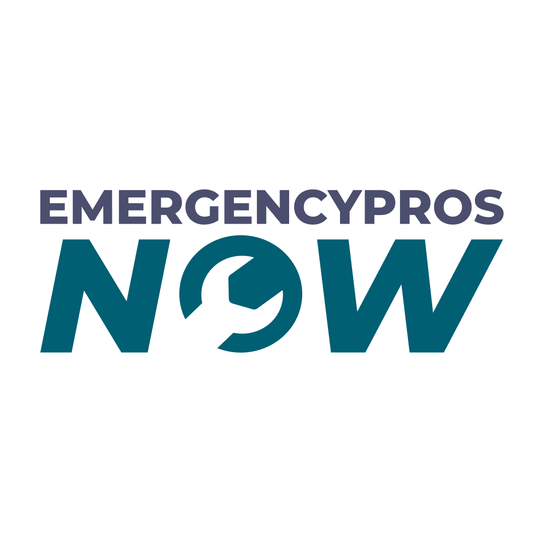 Emergency Pros Now Logo